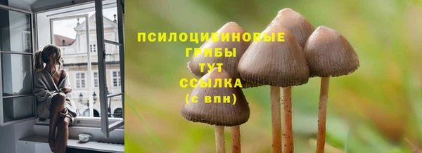 амф Абдулино