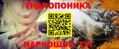 ешки Обнинск