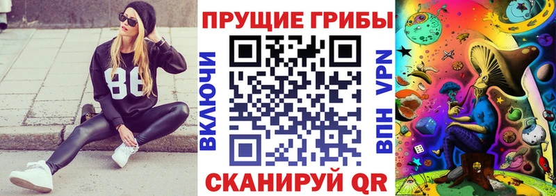 Галлюциногенные грибы MAGIC MUSHROOMS  купить наркотики сайты  кракен tor  Благовещенск 