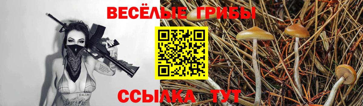 Галлюциногенные грибы мухоморы Благовещенск