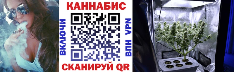 Бошки марихуана марихуана  как найти наркотики  МЕГА как войти  Благовещенск 